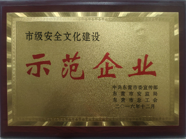 2016��12���м���ȫ�Ļ�ʦ����ҵ