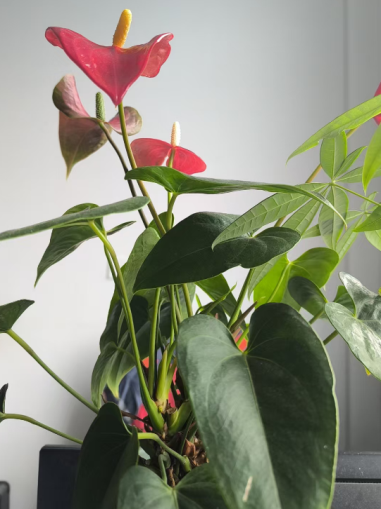 �ļ�������������������